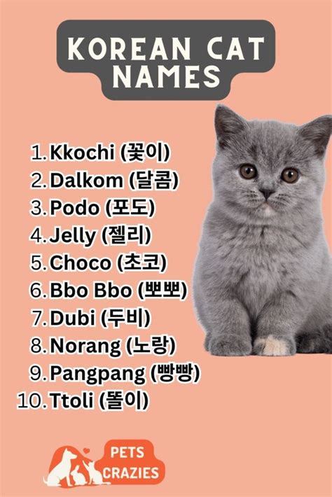 korean cat names|koshot.